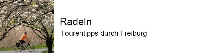  Radfahrer fährt an blühenden Kirschbäumen entlang.